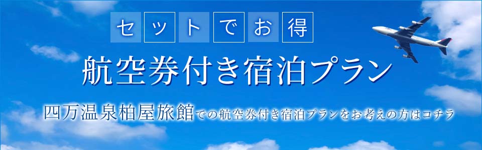 航空券付き宿泊プラン