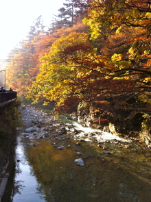 $四万温泉柏屋旅館の仲間たち