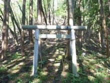 $四万温泉柏屋旅館の仲間たち