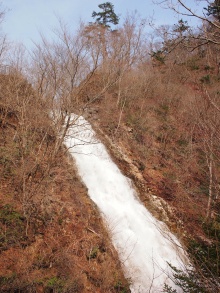 $四万温泉柏屋旅館の仲間たち | 四万温泉柏屋旅館の公式ブログ