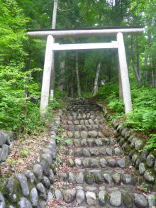 $四万温泉柏屋旅館の仲間たち | 四万温泉柏屋旅館の公式ブログ