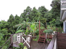 $四万温泉柏屋旅館の仲間たち | 四万温泉柏屋旅館の公式ブログ