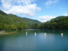 $四万温泉柏屋旅館の仲間たち | 四万温泉柏屋旅館の公式ブログ