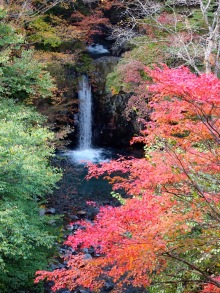 $四万温泉柏屋旅館の仲間たち | 四万温泉柏屋旅館の公式ブログ