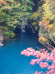 $四万温泉柏屋旅館の仲間たち | 四万温泉柏屋旅館の公式ブログ