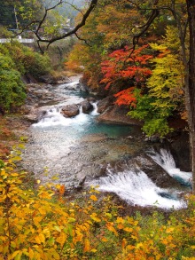 $四万温泉柏屋旅館の仲間たち | 四万温泉柏屋旅館の公式ブログ