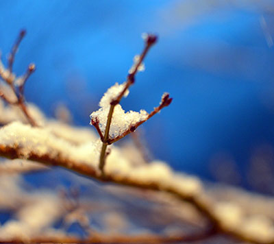 雪の四万温泉