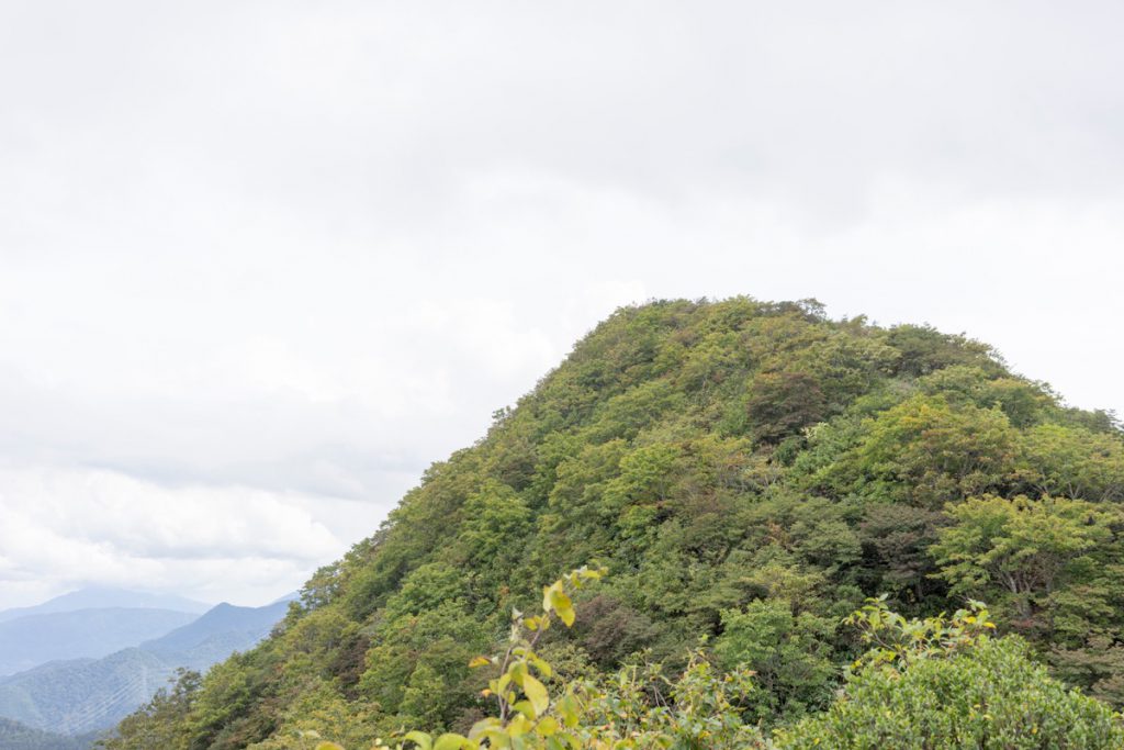 北斜面から稲包山頂