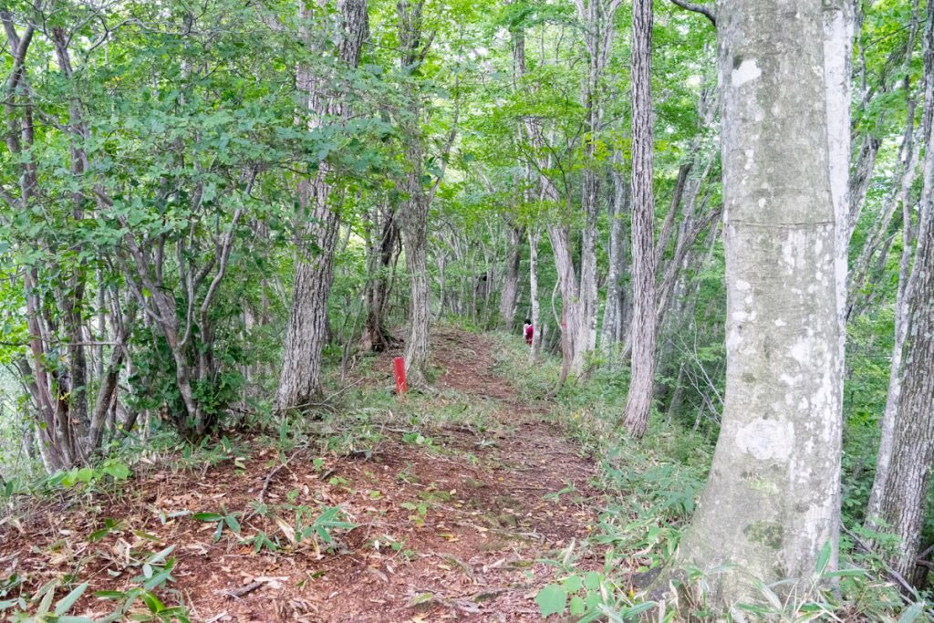 登山道