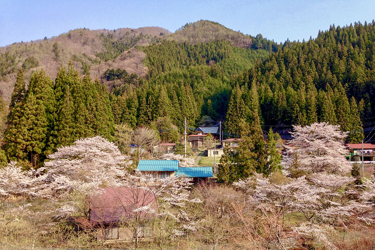 四万温泉柏屋旅館の公式ブログ 四万温泉や群馬県の観光 みどころ 最新情報 Part 38