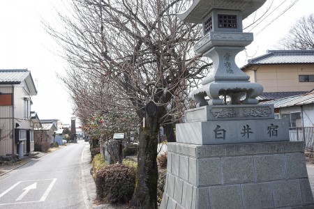 子持　白井宿