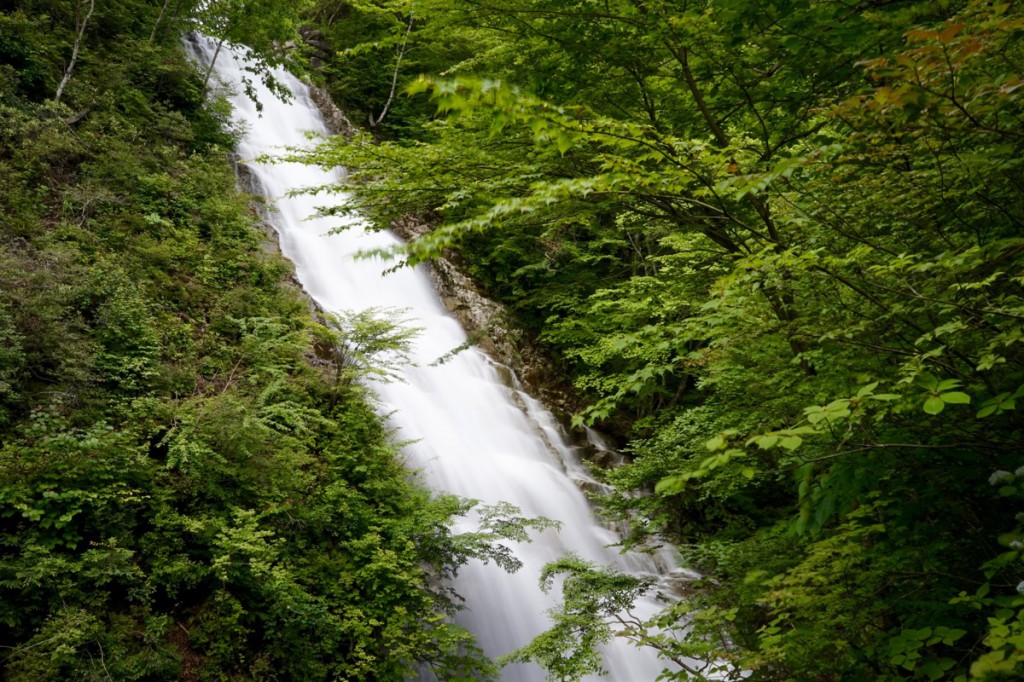 夏のしゃくなげの滝