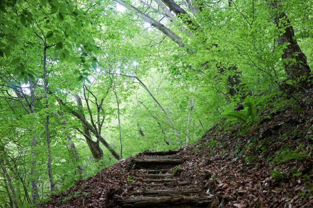 四万温泉小倉の滝