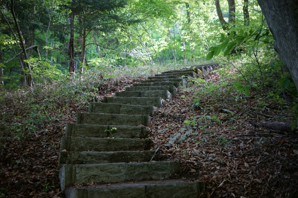 小倉の滝登り道