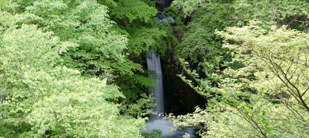 新緑の小泉の滝