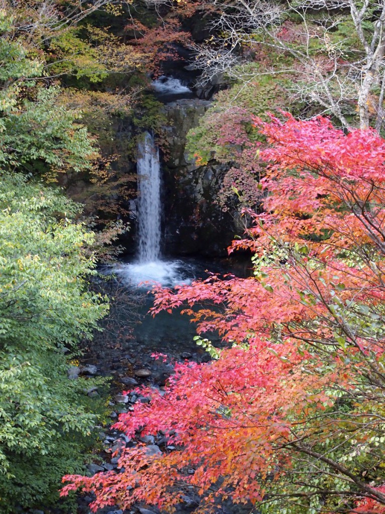 紅葉の小泉の滝