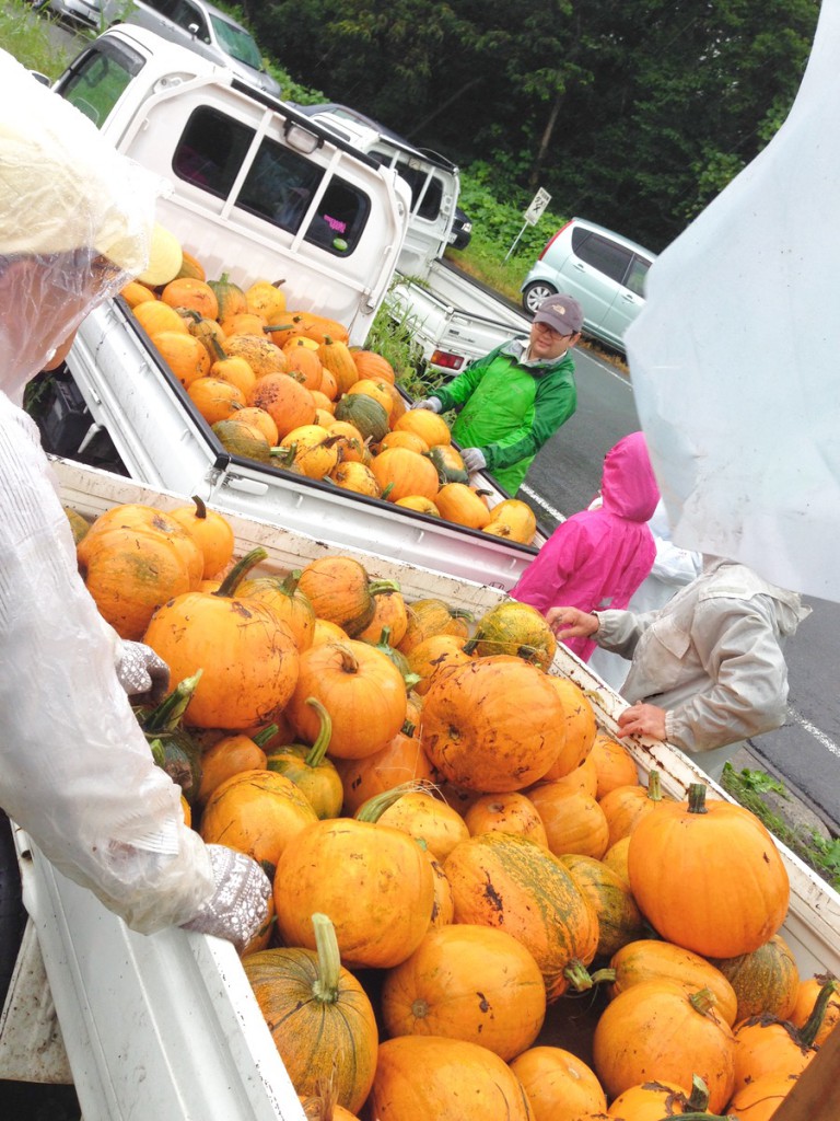 軽トラに山盛りのハロウィンかぼちゃ