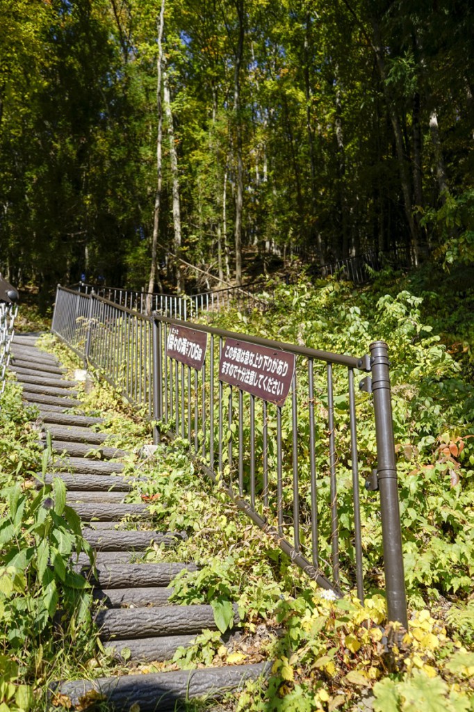 登りの階段