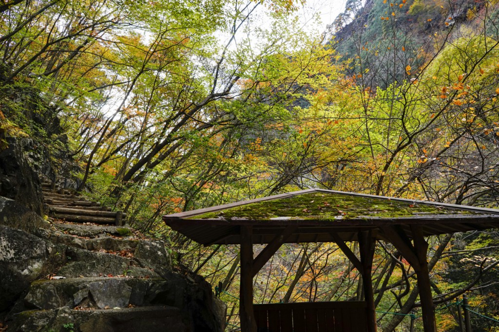 摩耶の滝