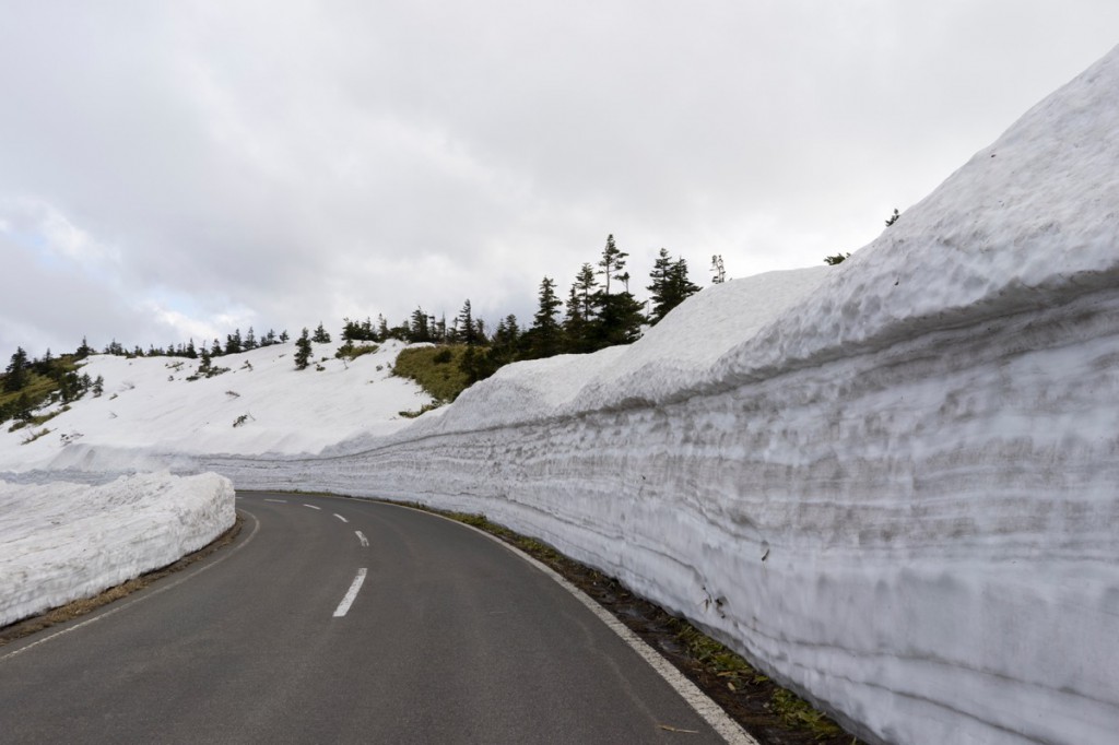 雪の回廊