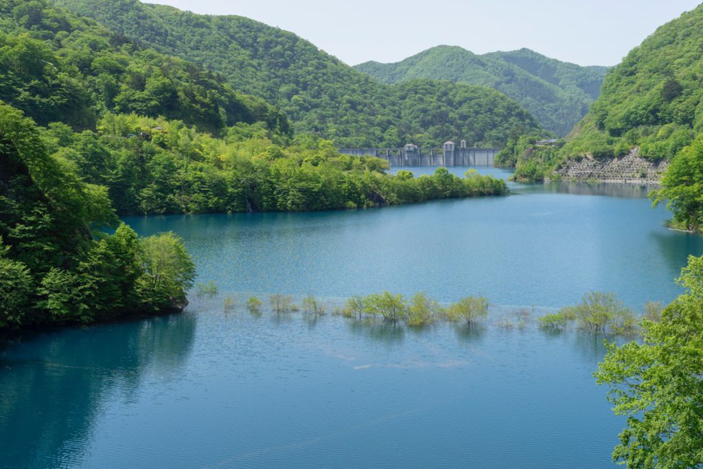 奥四万湖の浮島