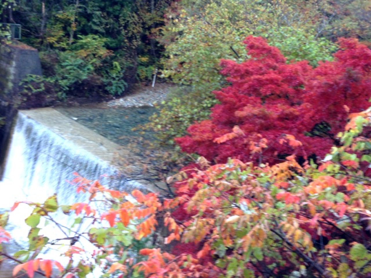 四万温泉の紅葉 四万温泉は街全体が紅葉の名所
