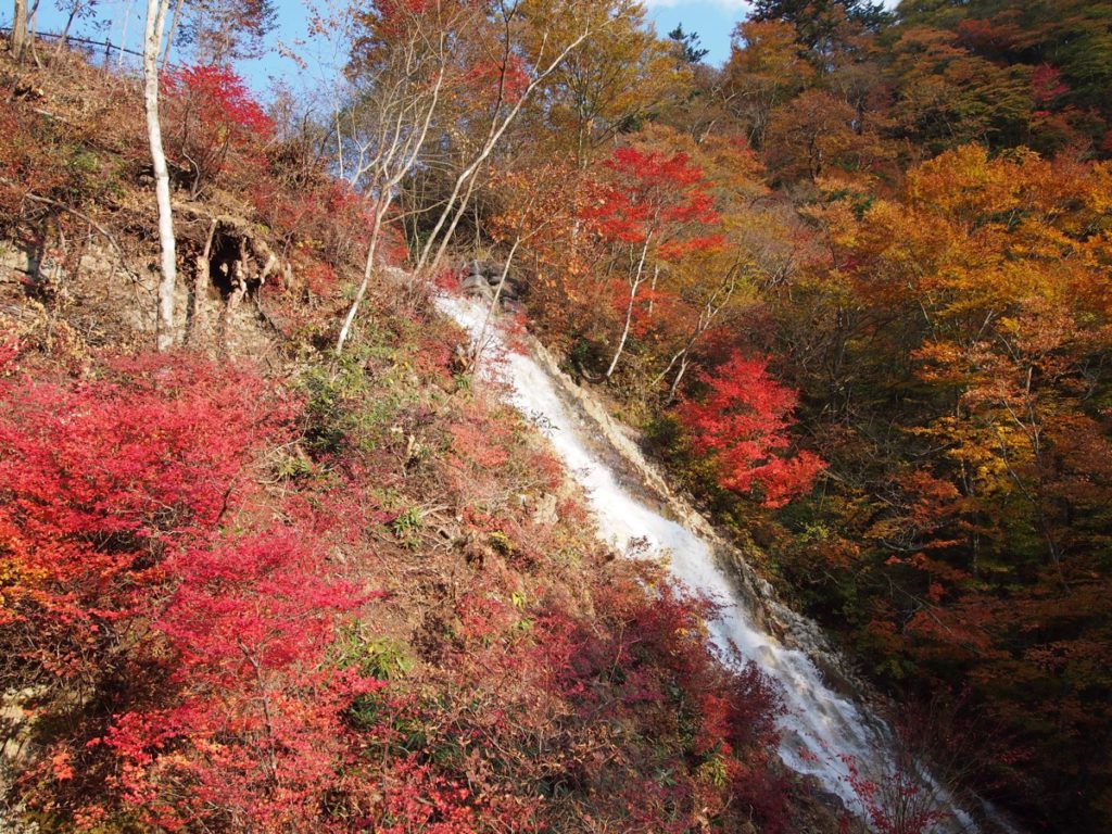 しゃくなげの滝