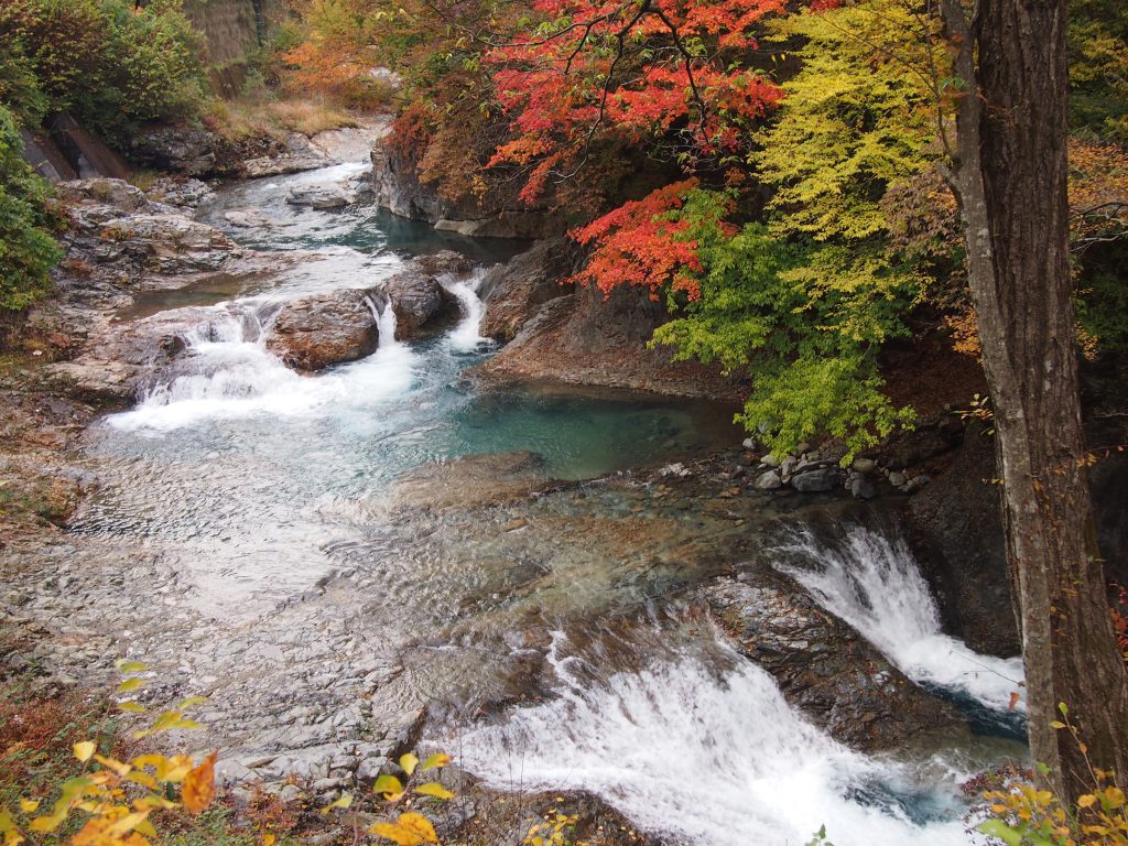 四万温泉柏屋旅館