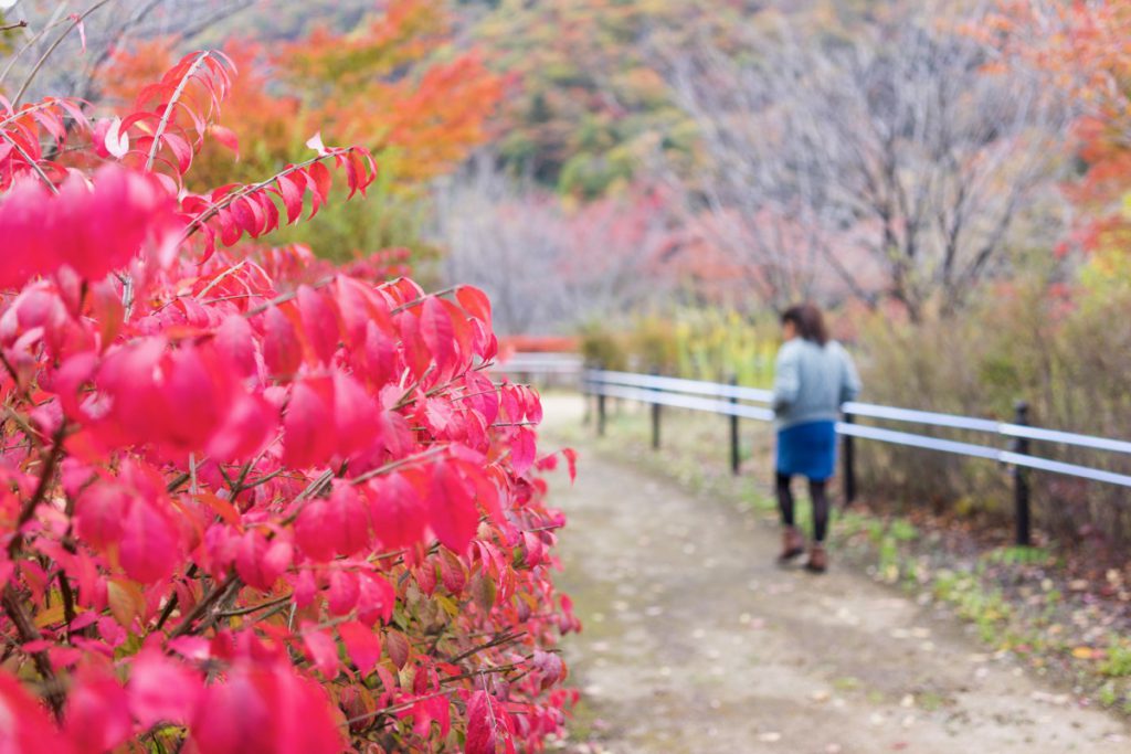 奥四万湖せせらぎ公園