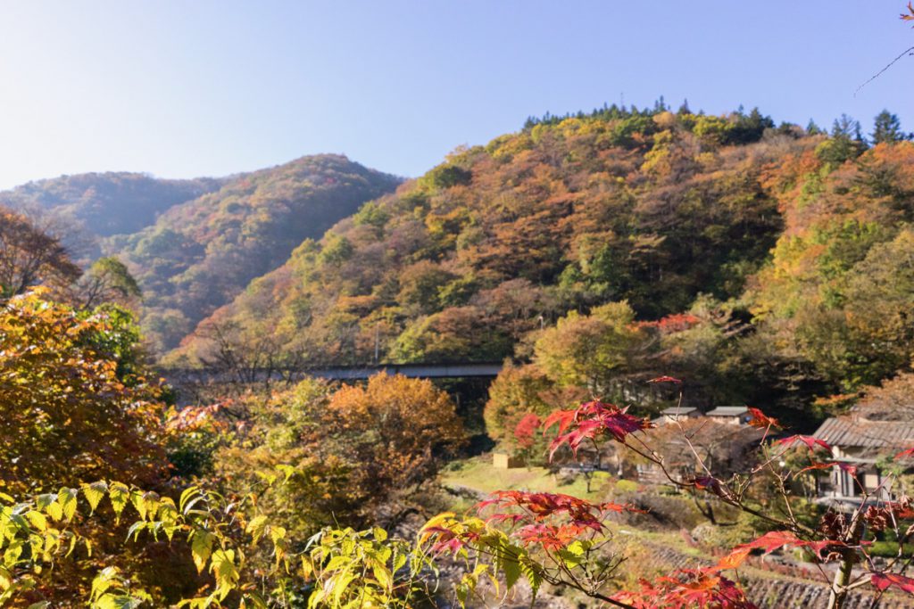 柏屋旅館前