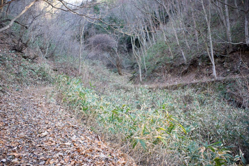 山道をあるく