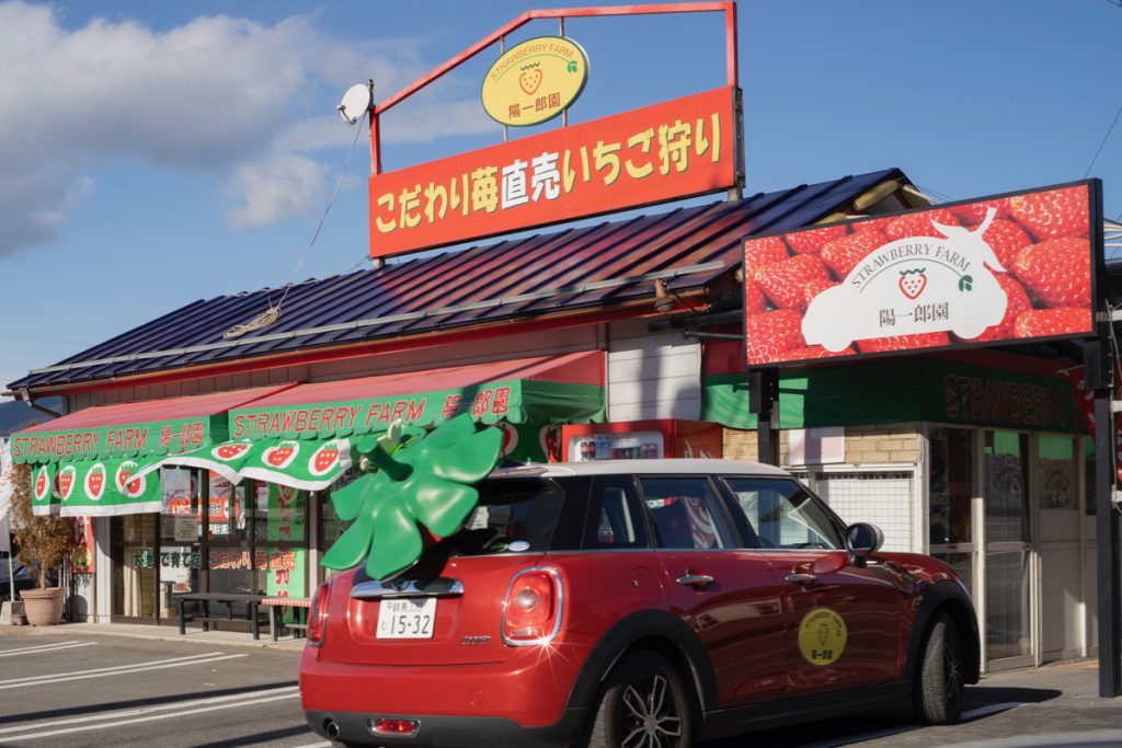 渋川市樽のイチゴ狩り