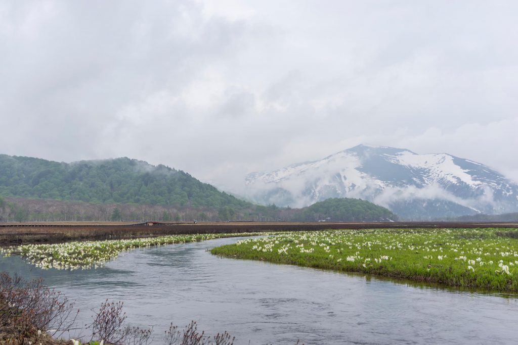 高層湿原