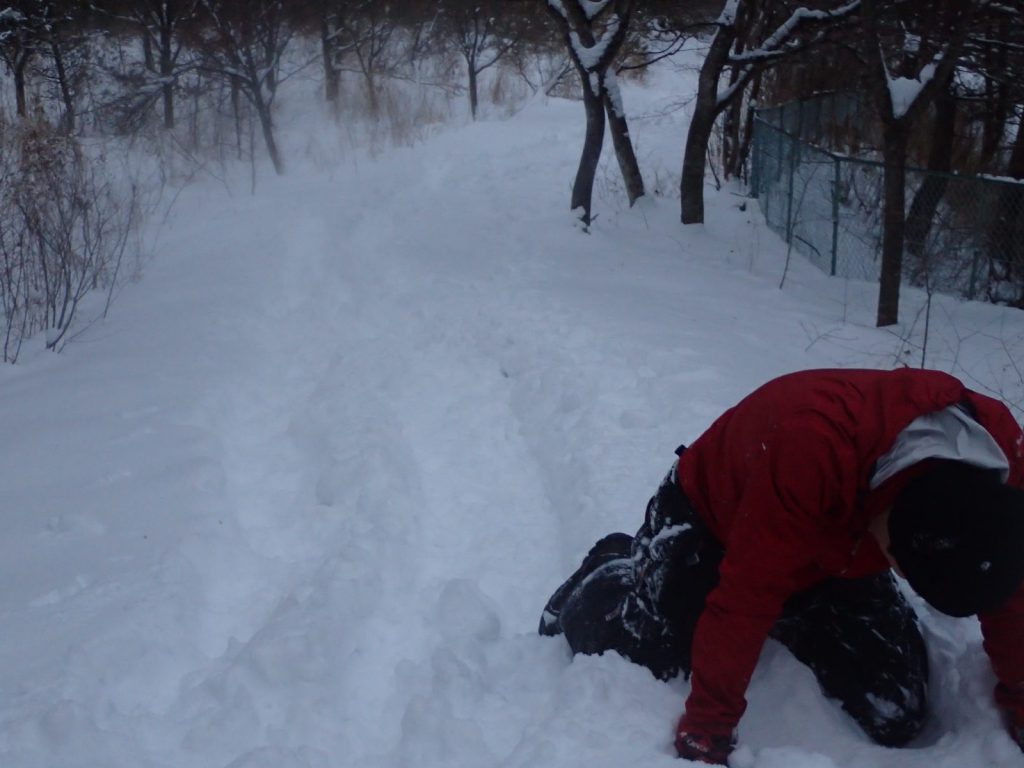 雪板 四万温泉アクティビティ 雪遊び