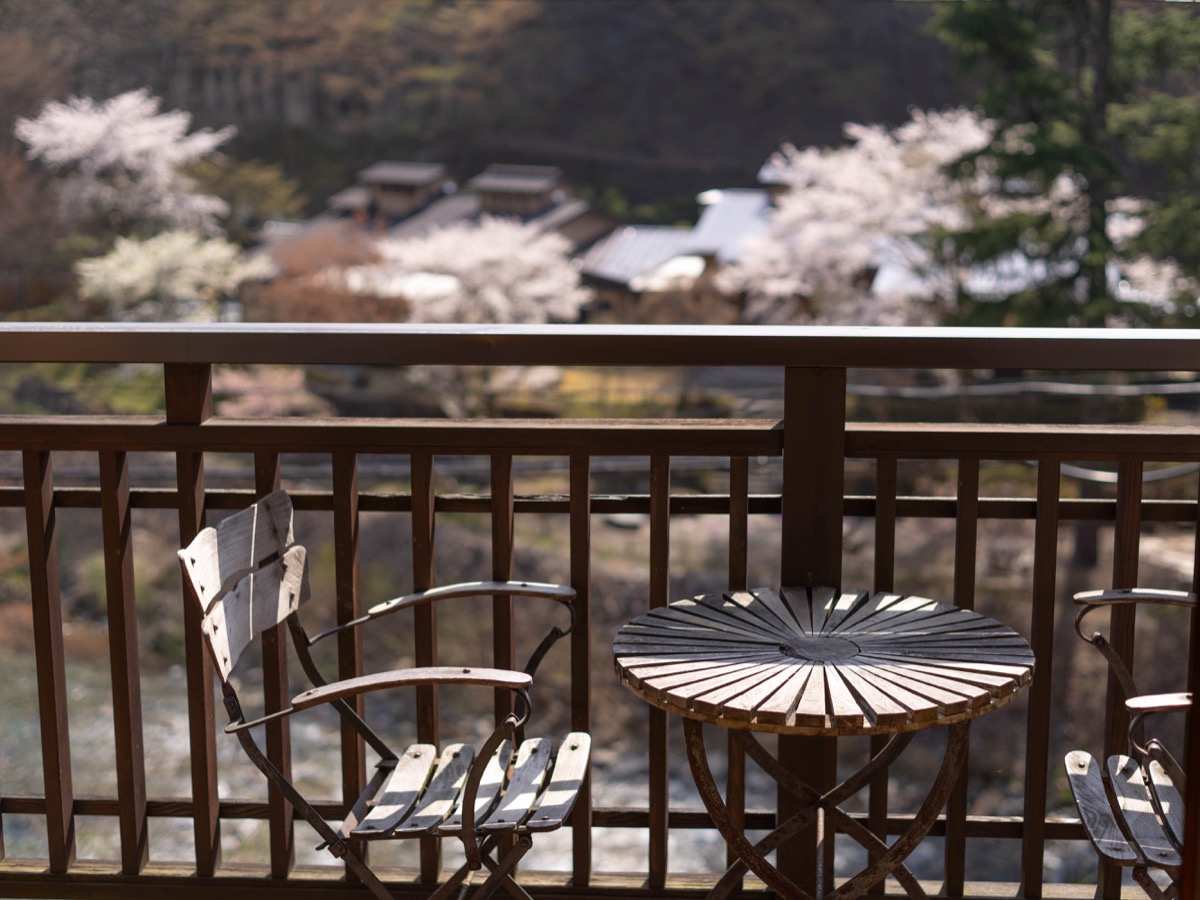 テラスからの桜