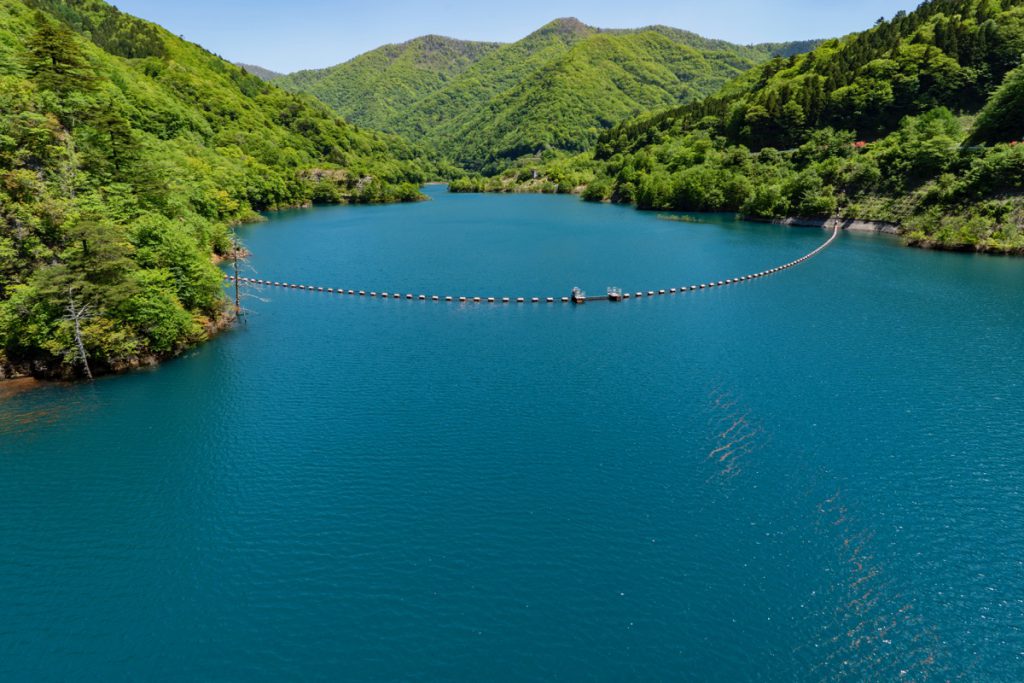 新緑の奥四万湖