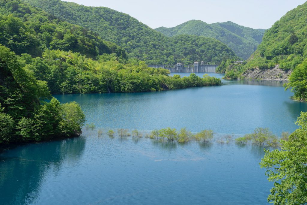 新緑の時期に現れる「浮島」