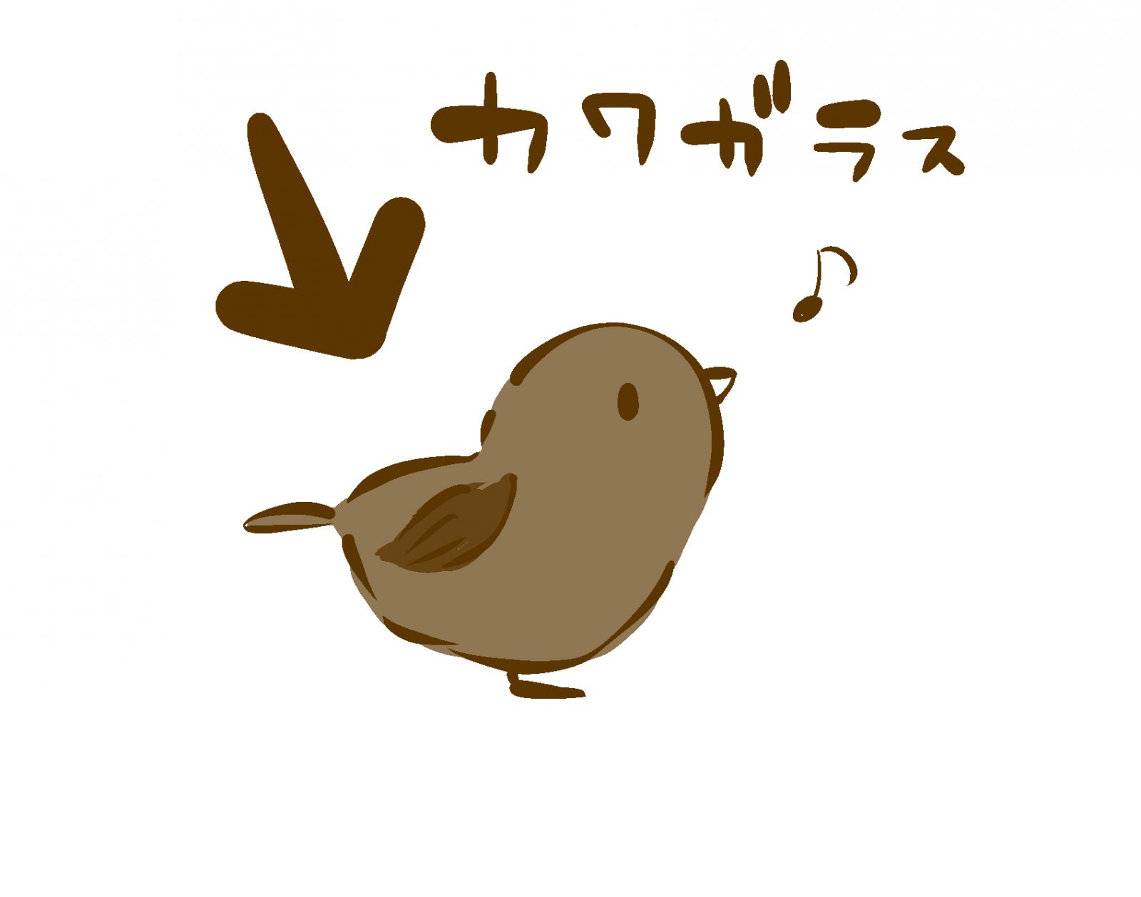 新たに鳥を発見