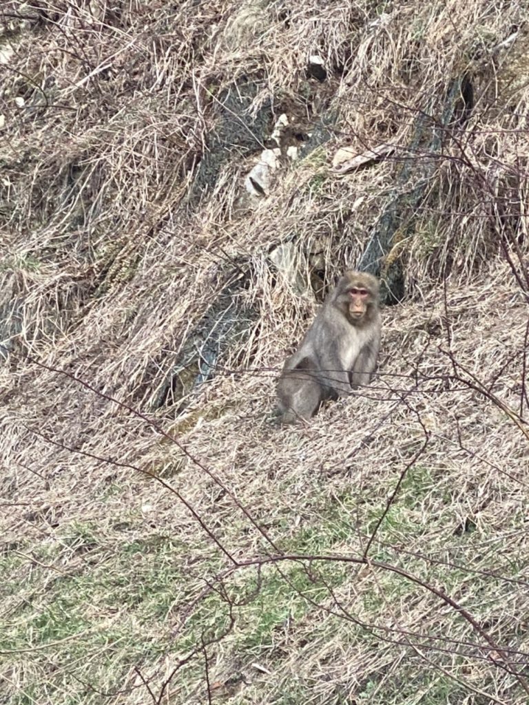 久々の遭遇