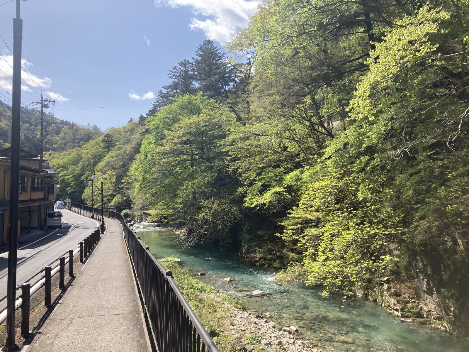 川の中には