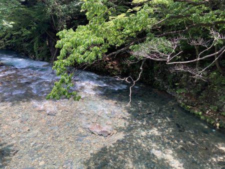 夏の気配