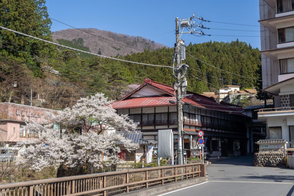 四万温泉バス停の桜