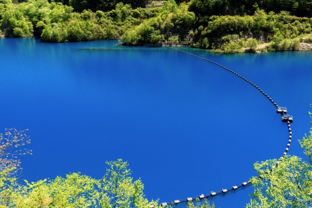 新緑の奥四万湖
