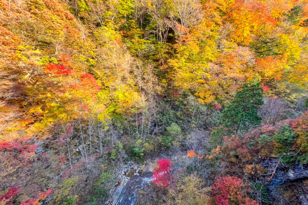 四万温泉、秘密の場所からの紅葉(2024年)