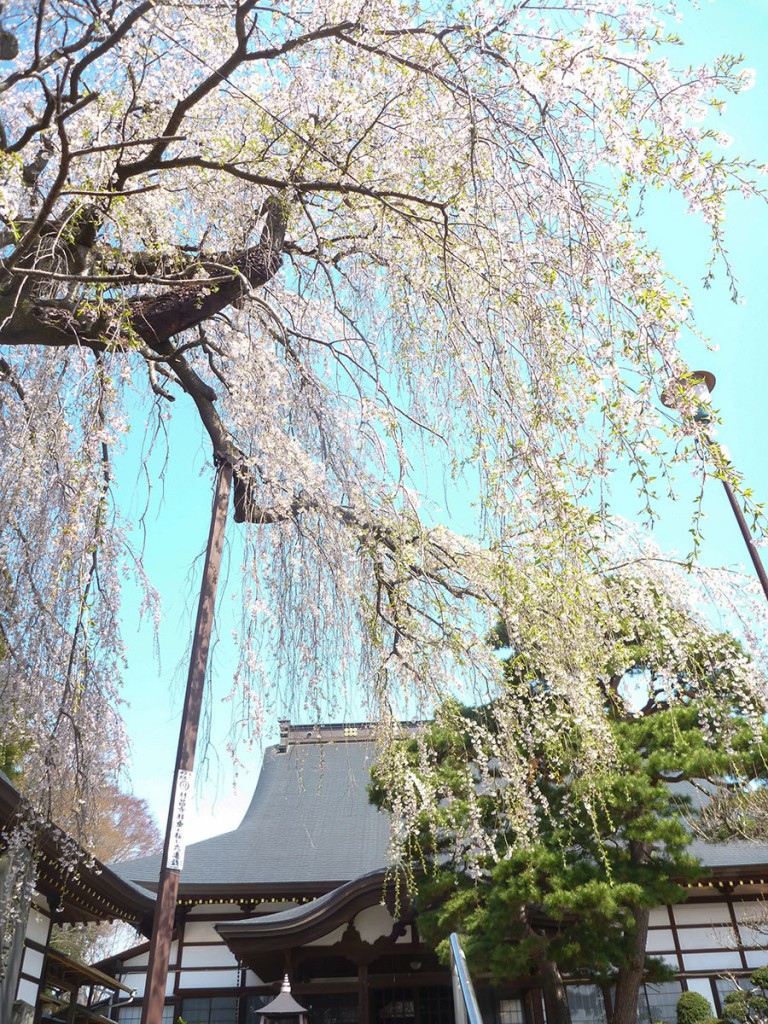 Nakanojo