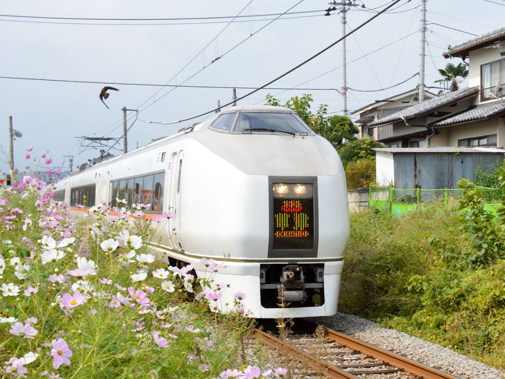 Limited Express Kusatsu
