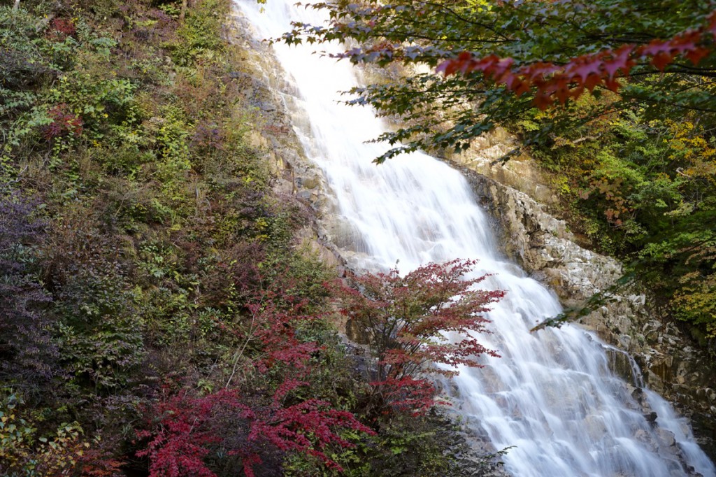 Syakunage fall