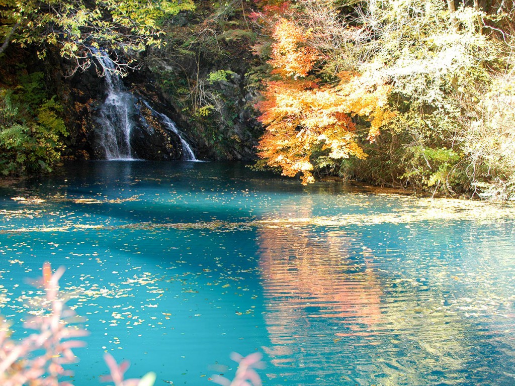 momotaro fall