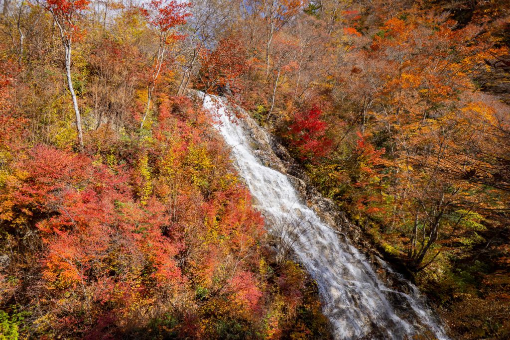 Shakunage waterfall