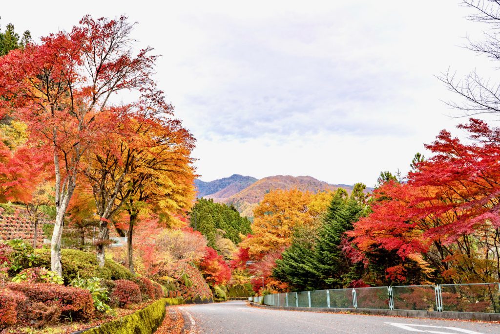 Shima Onsen 